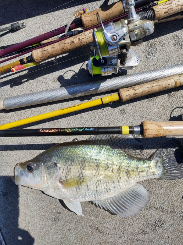 Crappie Fishing April 13th Report - Outlaw Crappie Poles